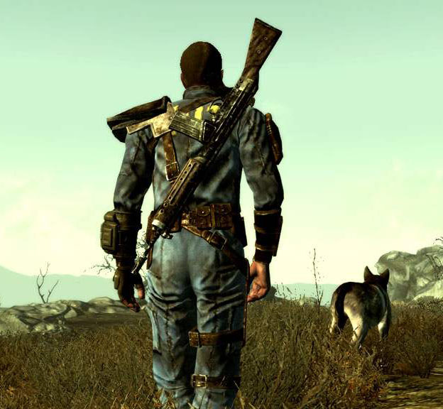The Lone Wanderer