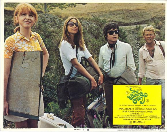The Buttercup Chain