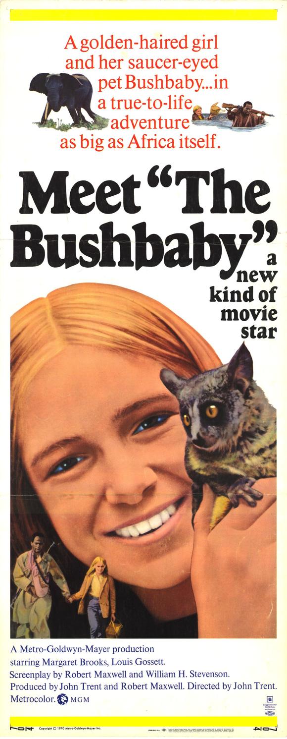 The Bushbaby (1969)