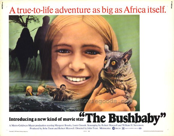 The Bushbaby (1969)