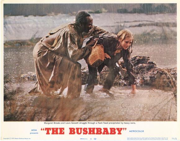 The Bushbaby (1969)