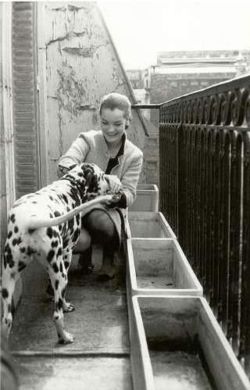 Romy Schneider Romy Schneider