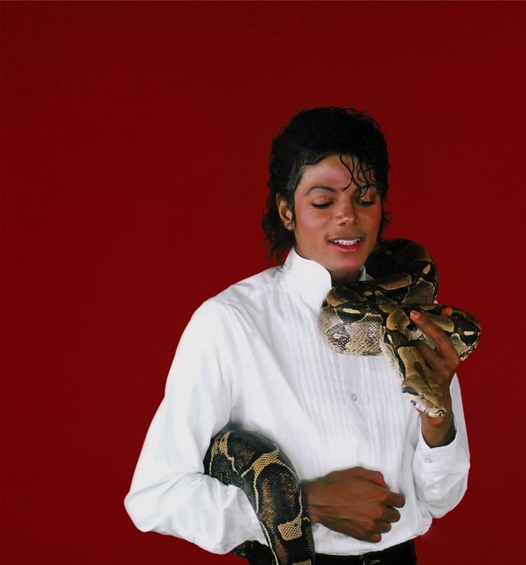 Picture of Michael Jackson