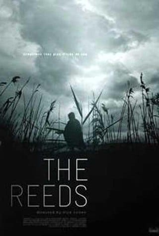 The Reeds