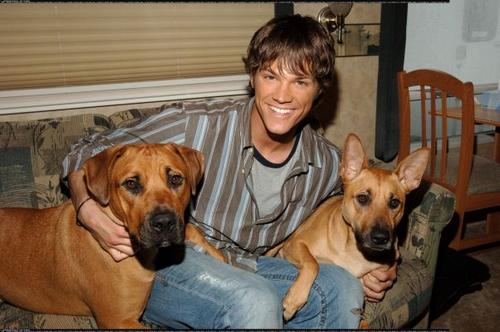 Jared Padalecki