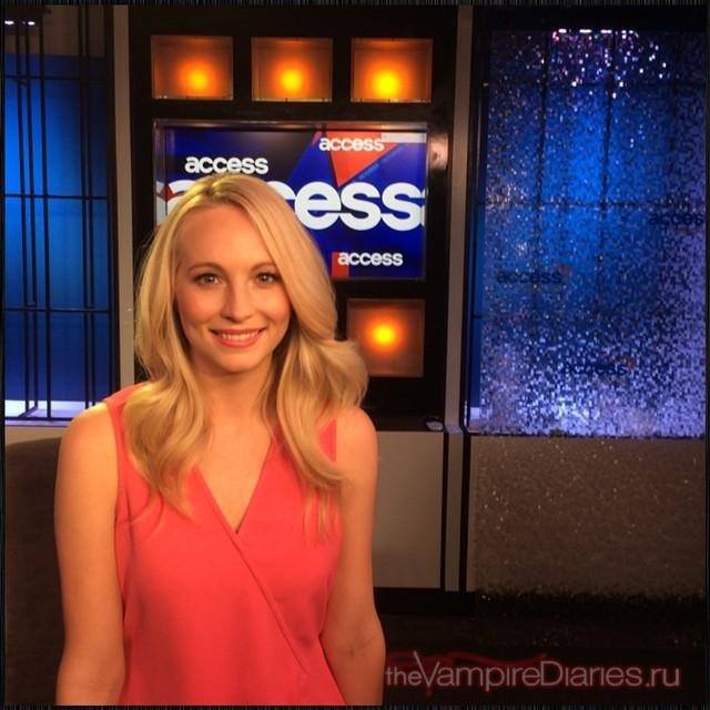 Candice Accola