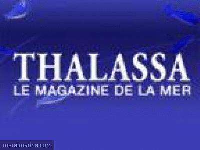 Thalassa, le magazine de la mer