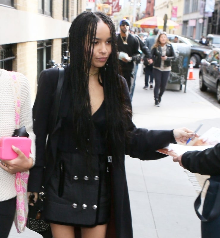 Picture of Zoe Kravitz