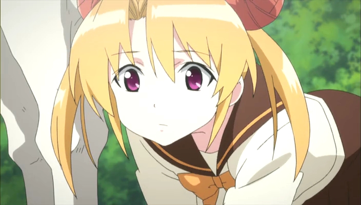 Hide 