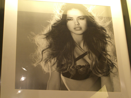 Adriana Lima