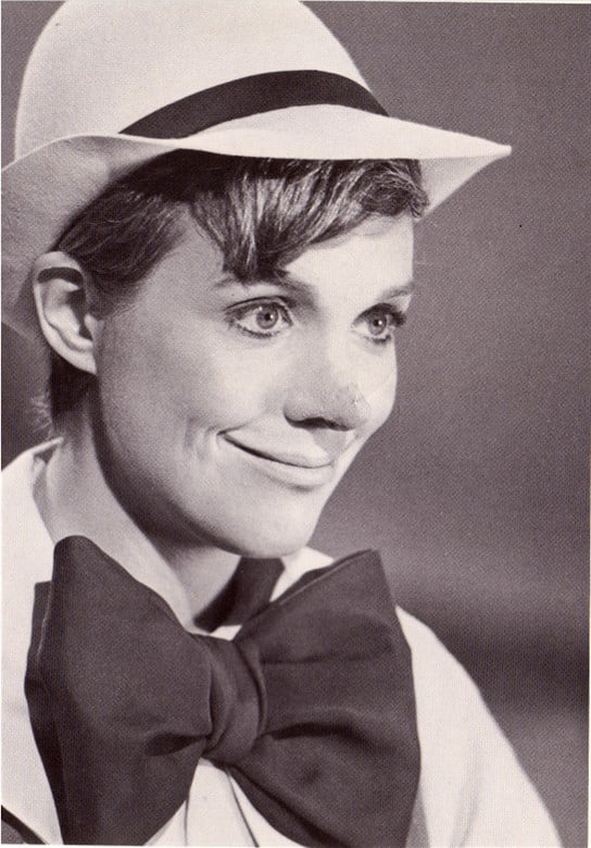 The Julie Andrews Hour The Julie Andrews Hour
