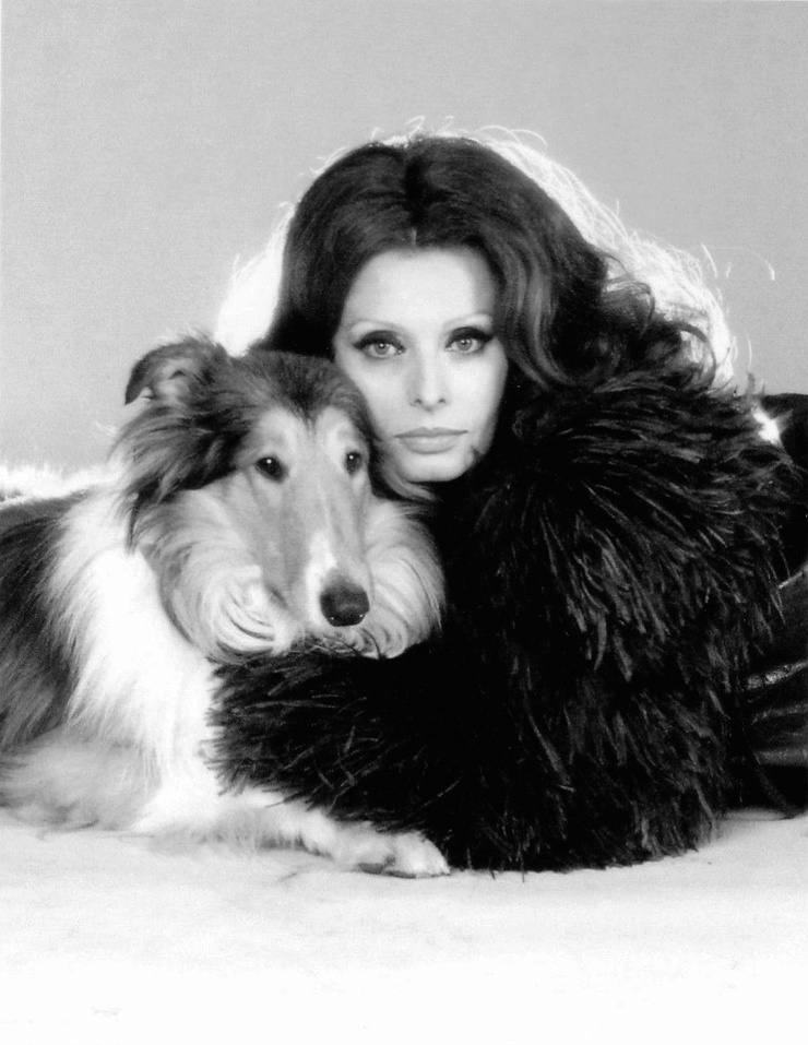 Sophia Loren