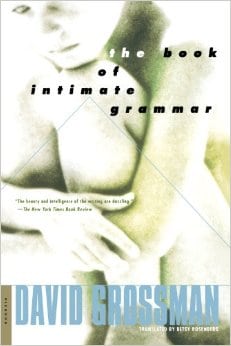 The Book of Intimate Grammar: A Novel
