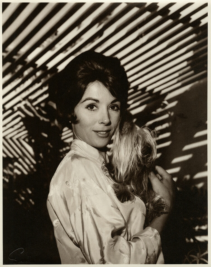 Dana Wynter Dana Wynter