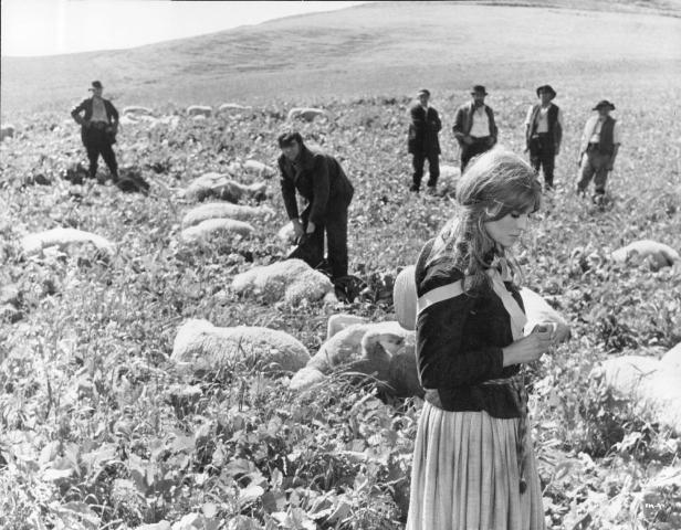 Far from the Madding Crowd (1967)