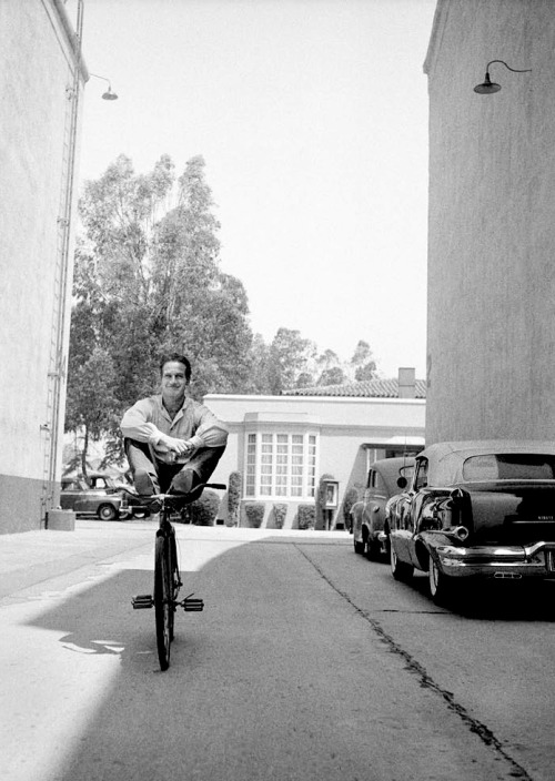 Paul Newman