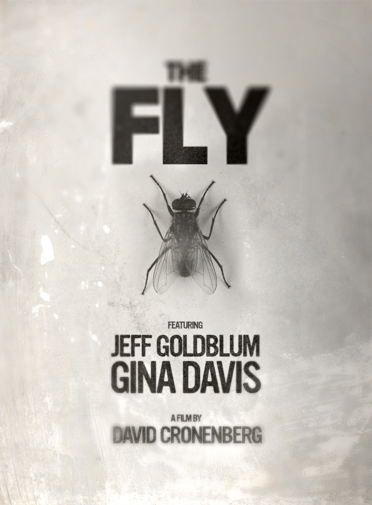 The Fly The Fly