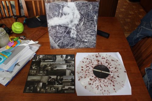 Sparrows - Cold Ground
