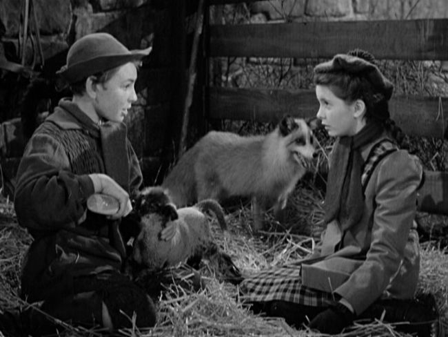 The Secret Garden (1949)