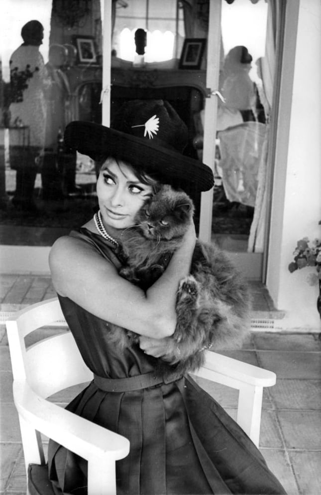 Sophia Loren