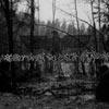 A Journey Through The Darkest Of Forests