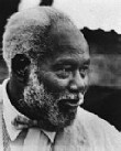 Rex Ingram
