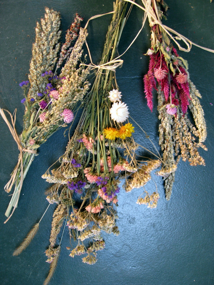 Flower Art Flower Art
