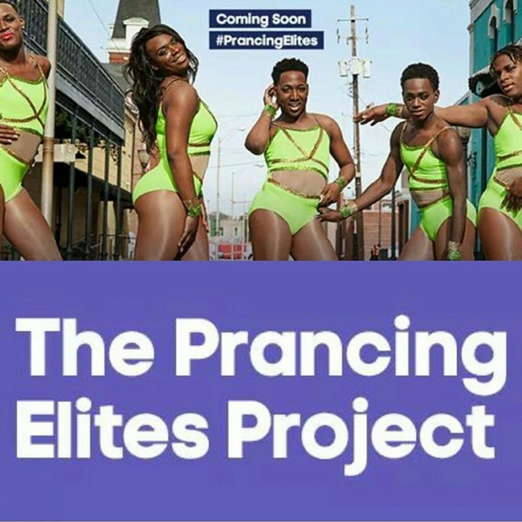 The Prancing Elites Project
