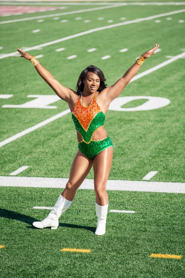 The Prancing Elites Project