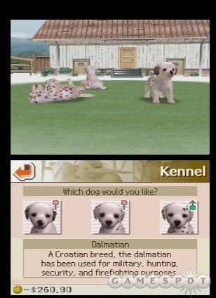 Nintendogs: Dalmatian & Friends