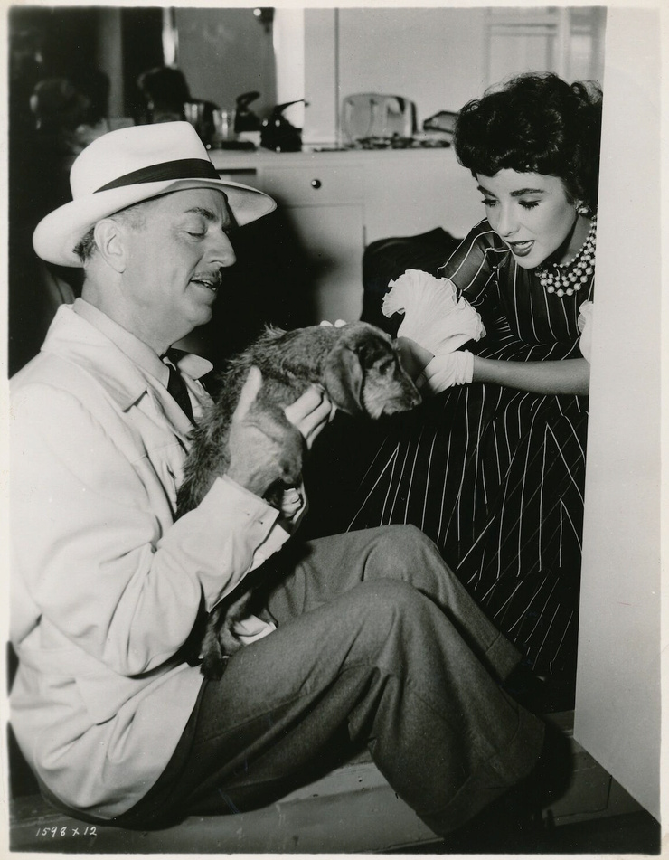 Elizabeth Taylor Elizabeth Taylor