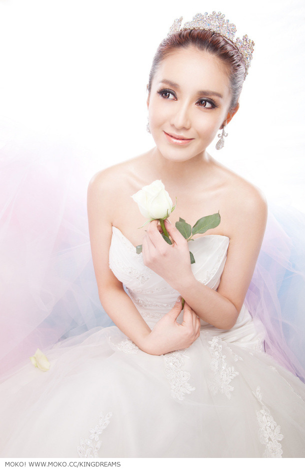 Wang Meng