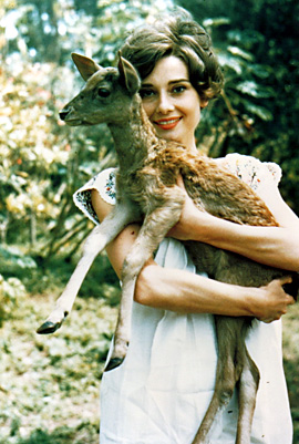 Audrey Hepburn