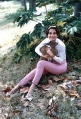 Audrey Hepburn Audrey Hepburn