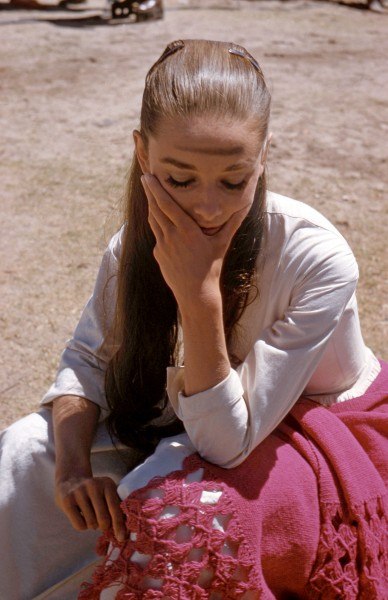 Audrey Hepburn Audrey Hepburn