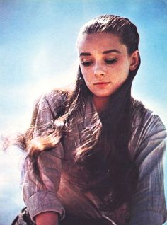 Audrey Hepburn Audrey Hepburn