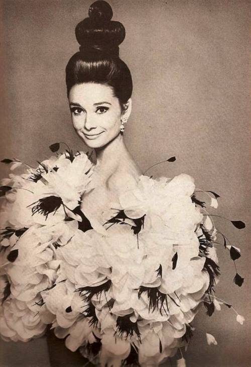 Audrey Hepburn Audrey Hepburn