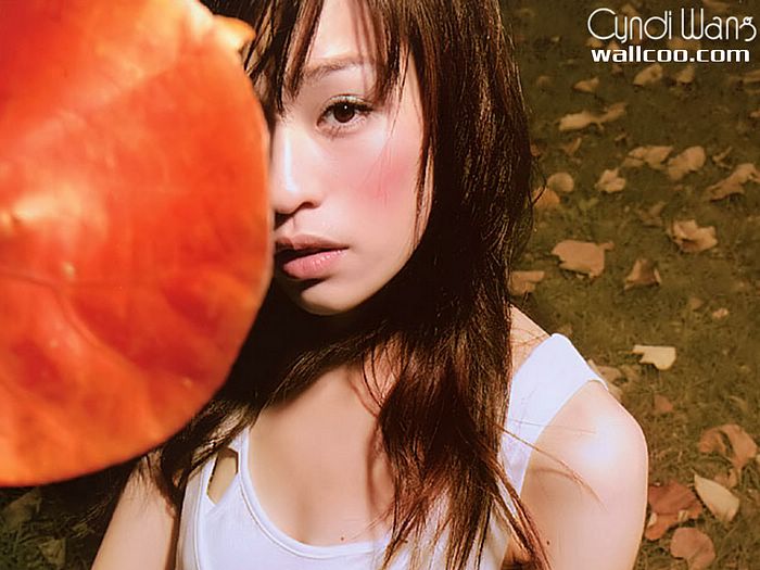 Cyndi Wang Xin Ling