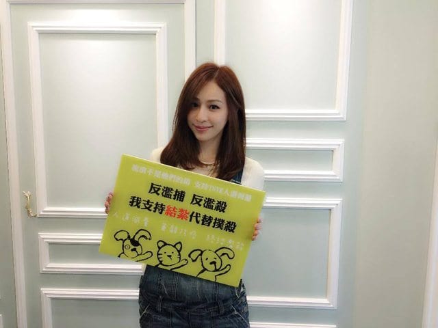 Cyndi Wang Xin Ling