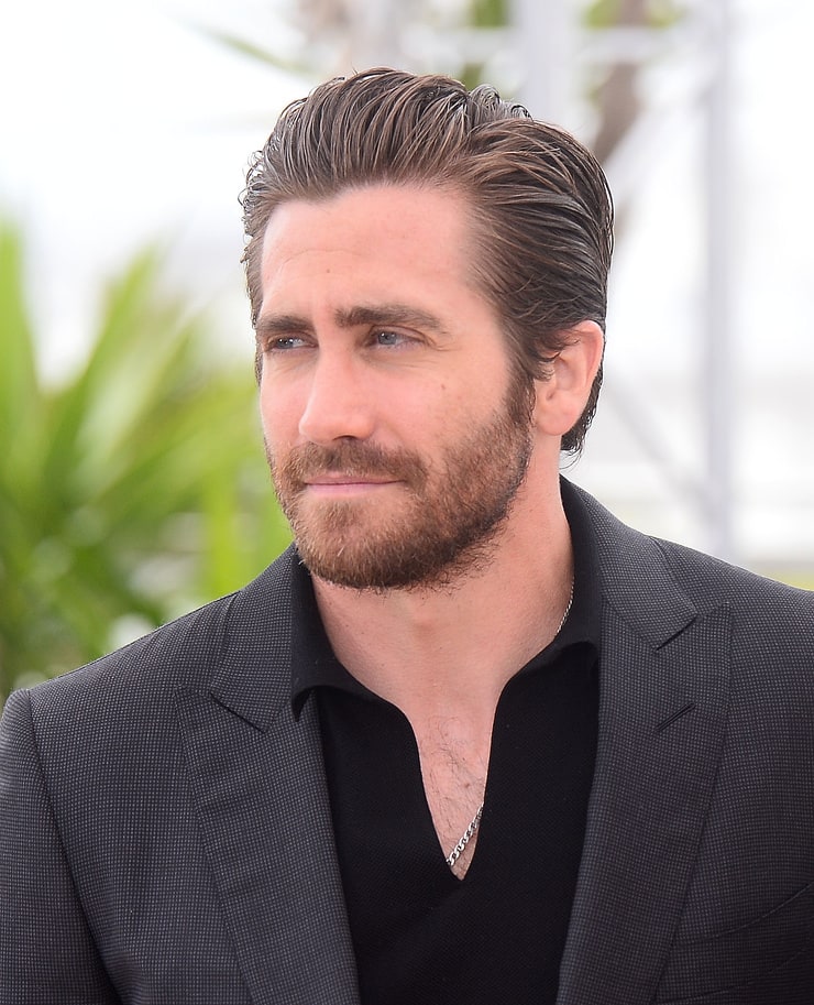 Picture of Jake Gyllenhaal