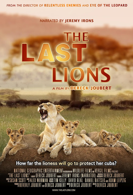 Picture of The Last Lions