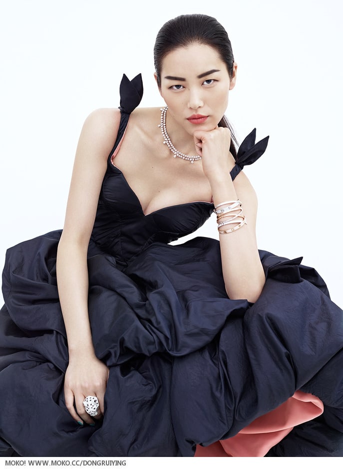 Liu Wen