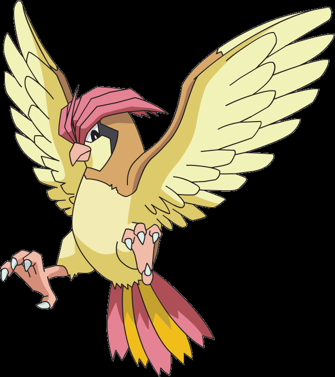 Pidgeotto