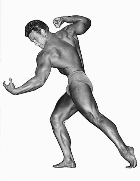 Steve Reeves