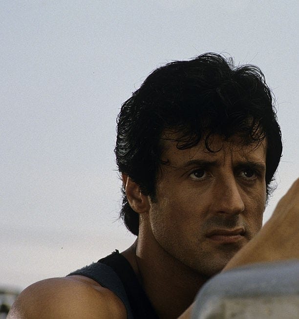 Picture of Sylvester Stallone