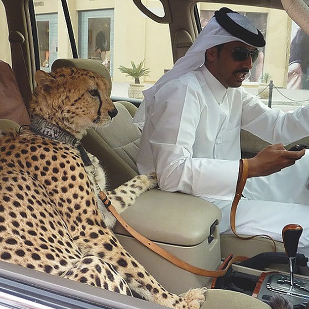 20 Things That Probably Only Happen in Dubai