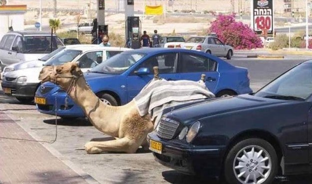 20 Things That Probably Only Happen in Dubai