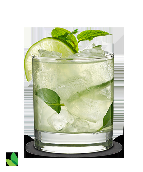 Mojito