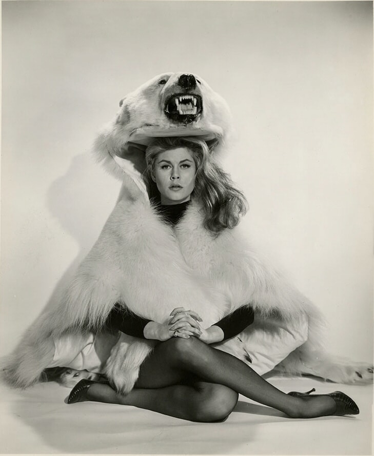 Elizabeth Montgomery Elizabeth Montgomery