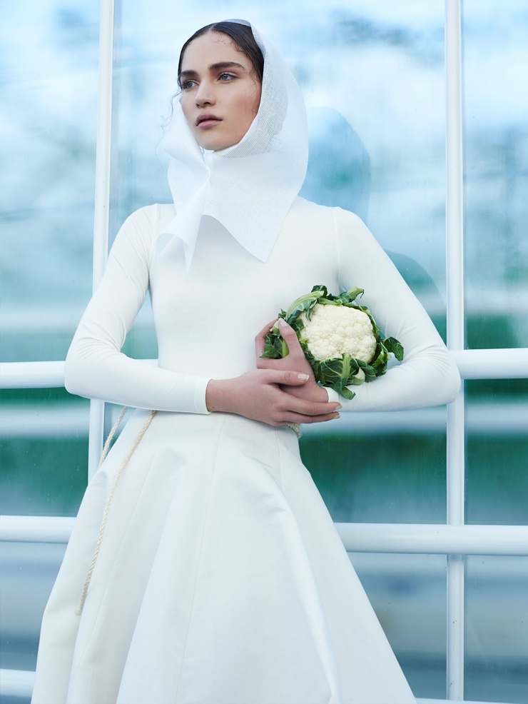 Julia van Os